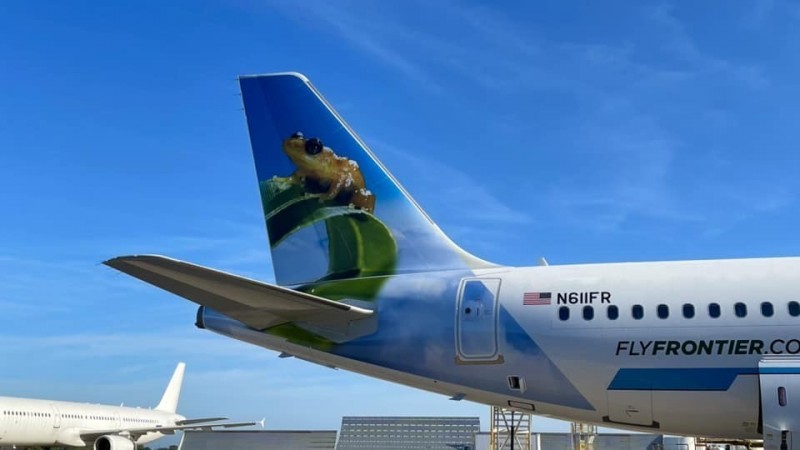 Frontier Airlines Introduces Bori the Coqu Llanero Plane Tail to